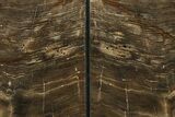 Polished Petrified Wood Bookends - Washington #274865-2
